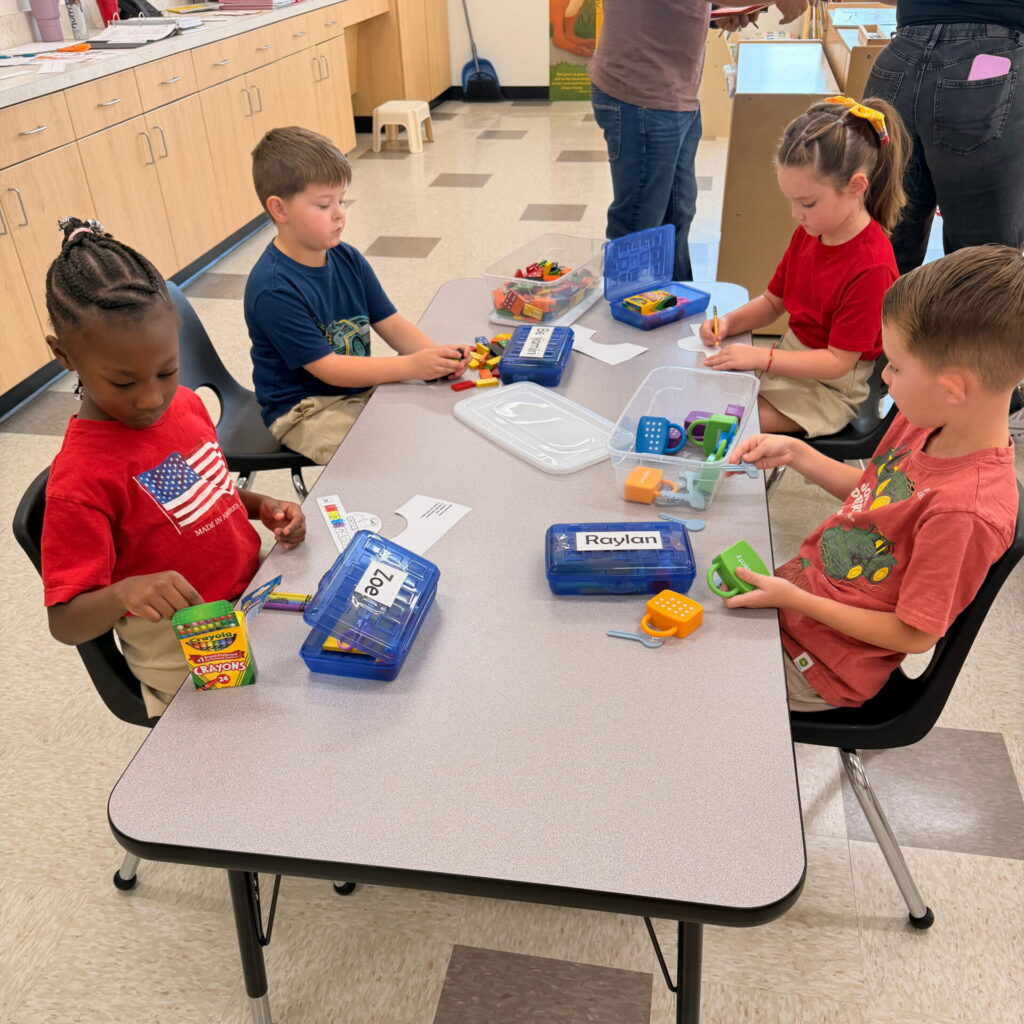 Expert lead teacher
